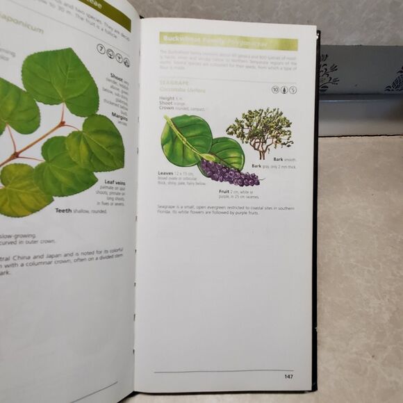 National Geographic Field Guide to the Trees of North America by Charles Hollis - Picture 8 of 8